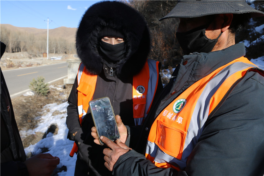 澤仁勒布.jpg 澤仁勒布.jpg